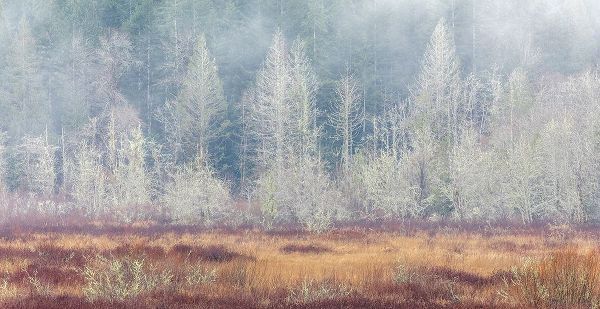 Washington State-Dewatto Panoramic of autumn meadow and forest